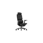 Origin Ergonomic Office Chair Mesh & Premium Faux Leather Adjustable Arms Dynamic Lumbar Support Seamless Recline Adjustable Headrest 12 Year Warranty (Midnight Black, Mesh)